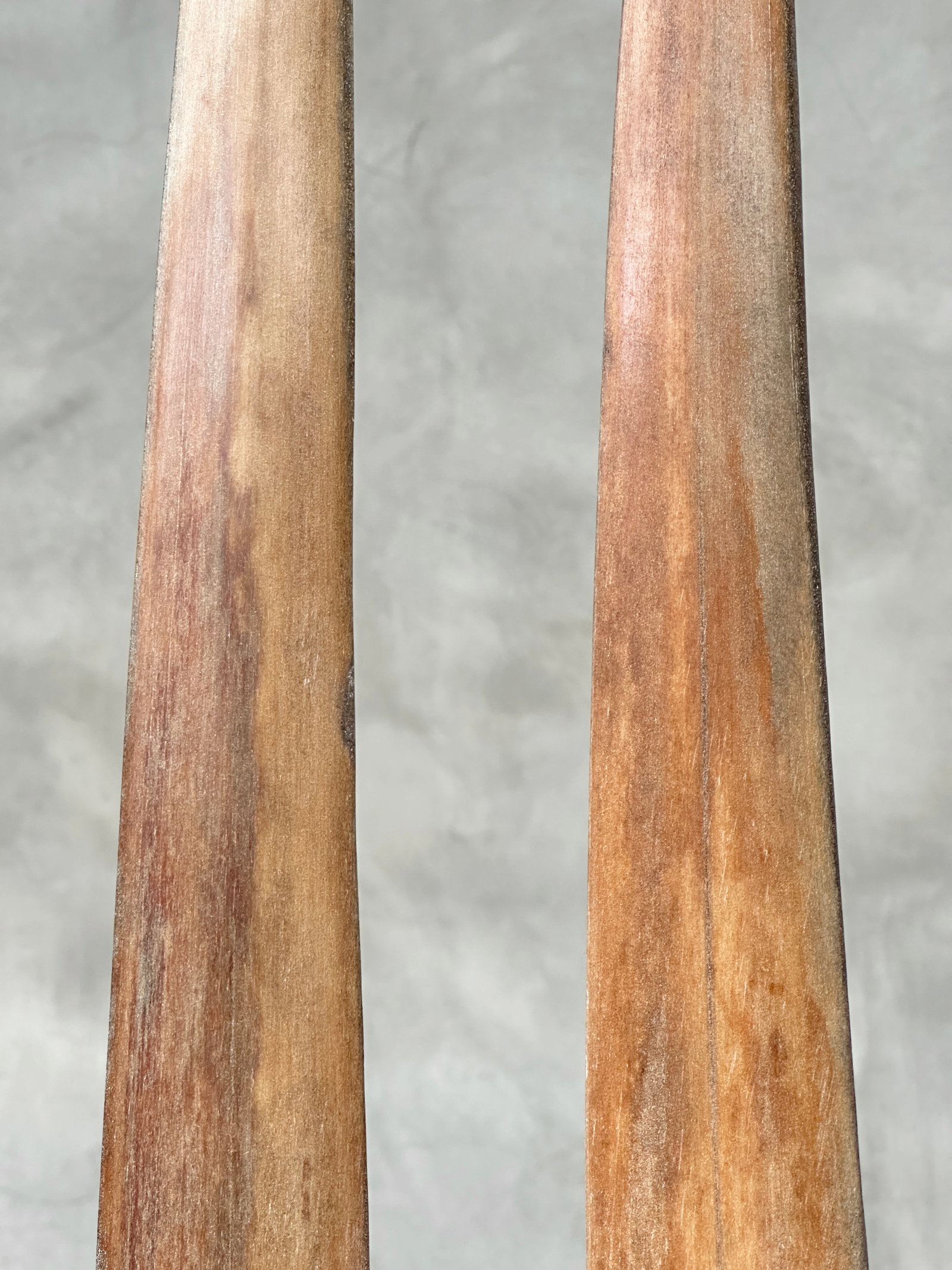 Pair of swordfish tusks with custom stands - 7