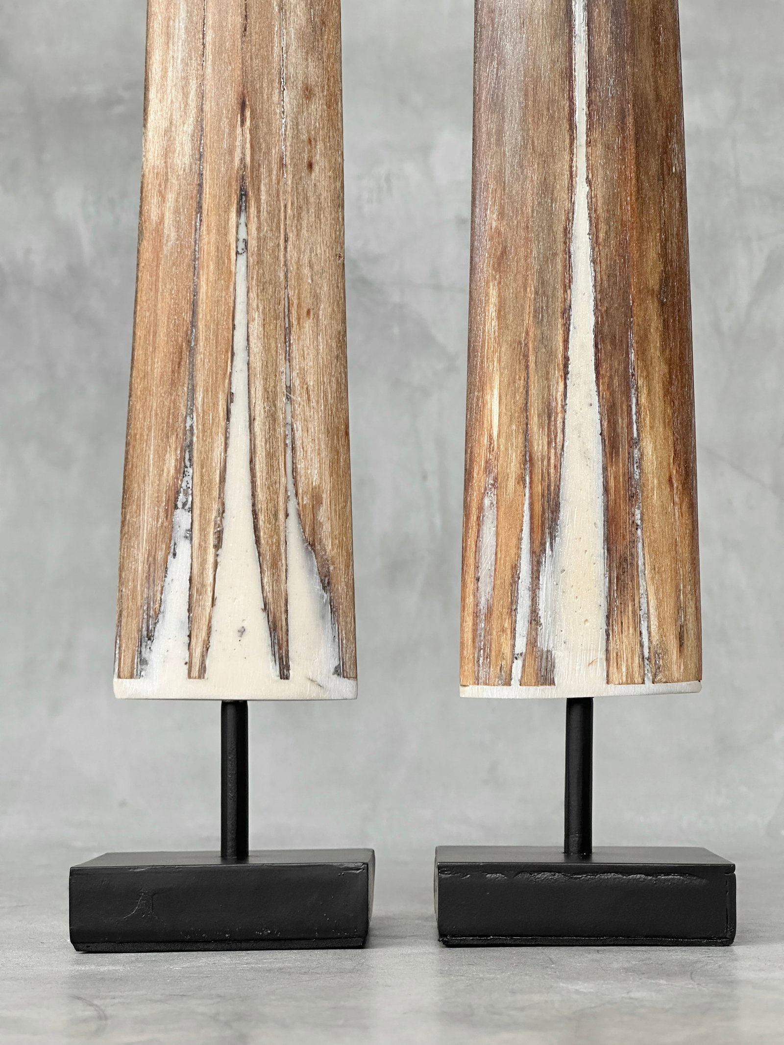 Pair of swordfish tusks with custom stands - 9