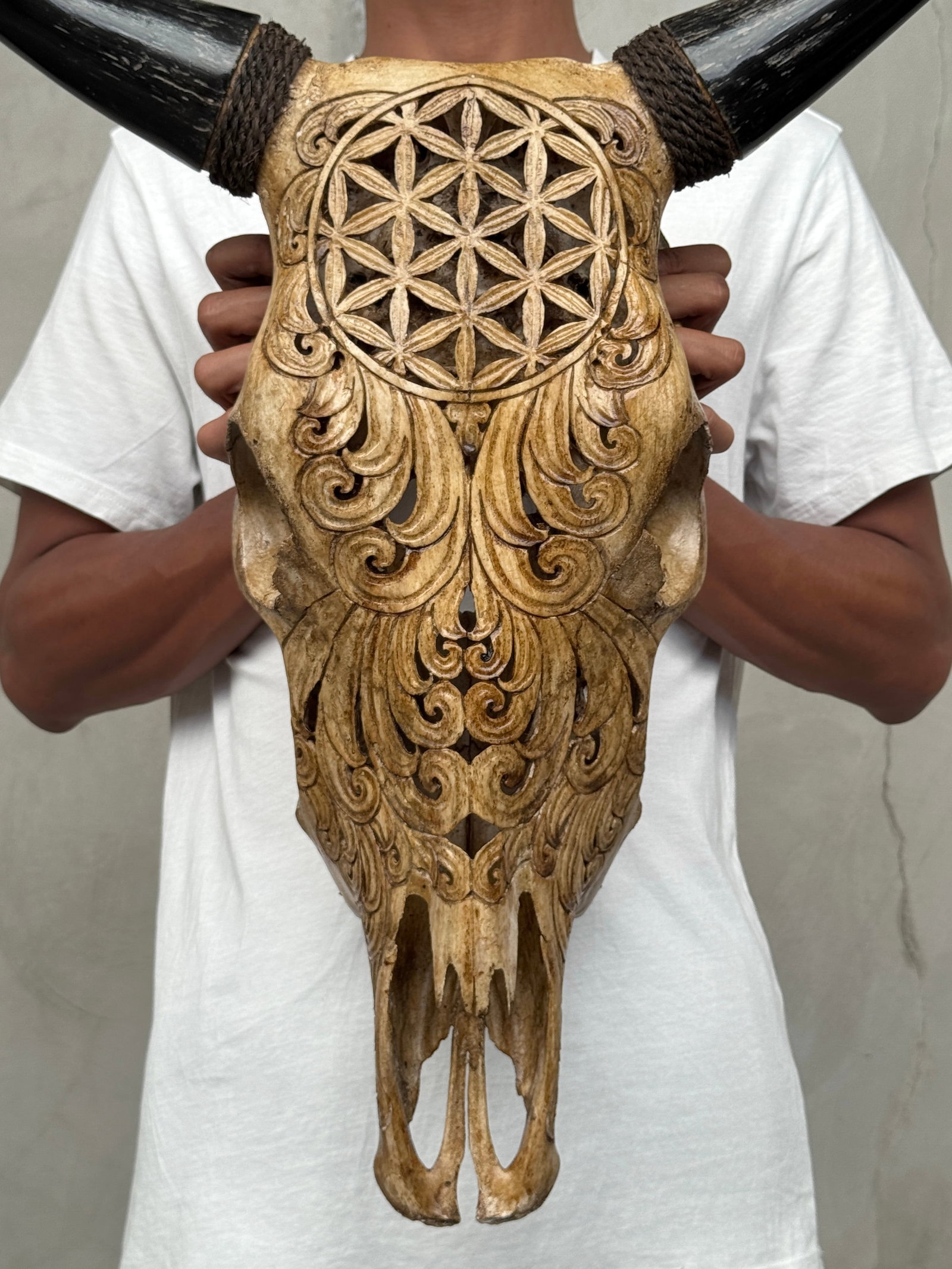 Brown bull's kull - Flower of life motif - 10