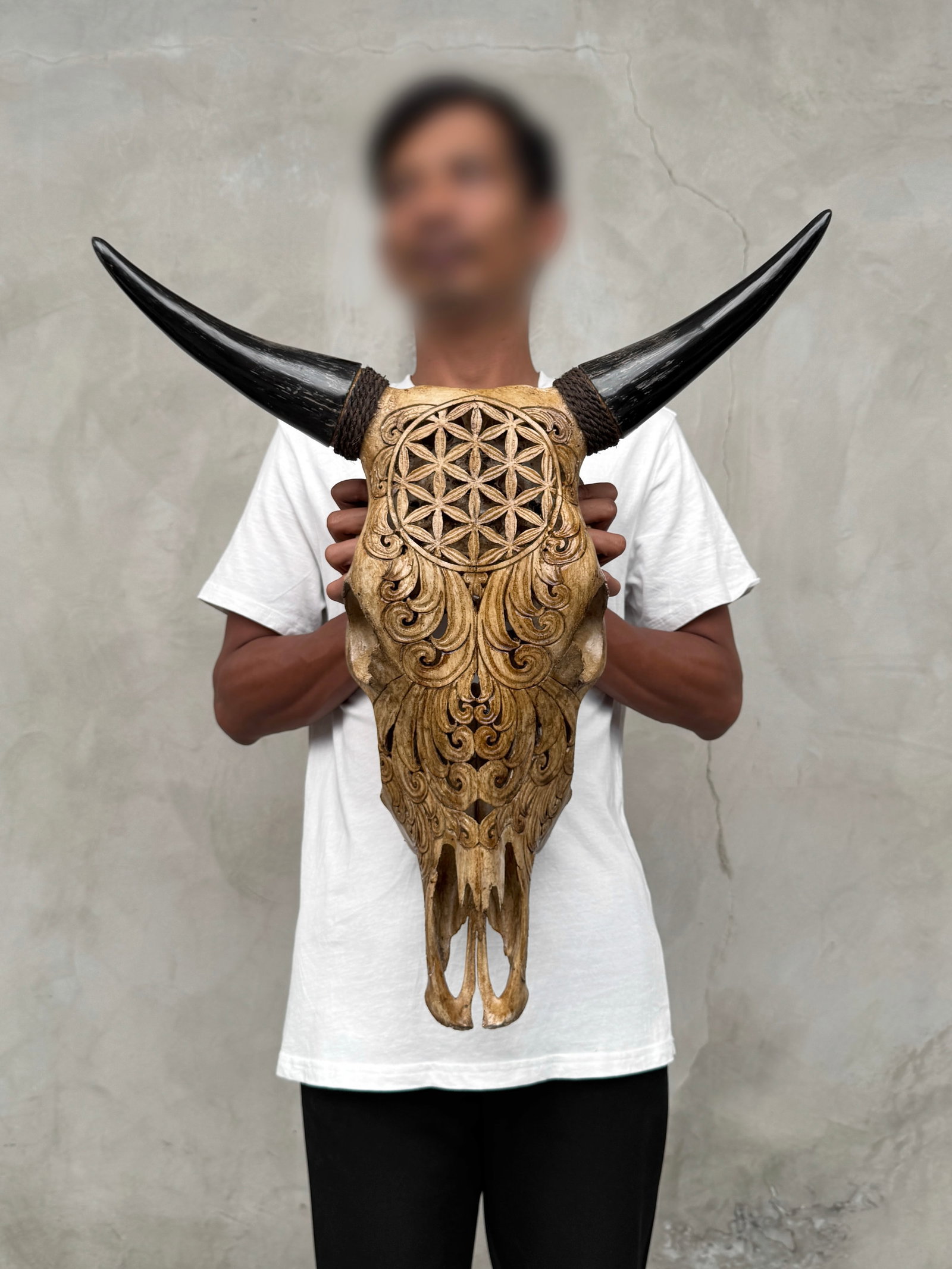 Brown bull's kull - Flower of life motif: Title: White cow skull - Eagle motif Maker:Unknown Origin: Indonesia Date/Period:2026 Materials:Bos Taurus, horn Dimensions:Height: 53 cm / 20.8 inches. Length: 41 cm / 16.1 inches Description:This