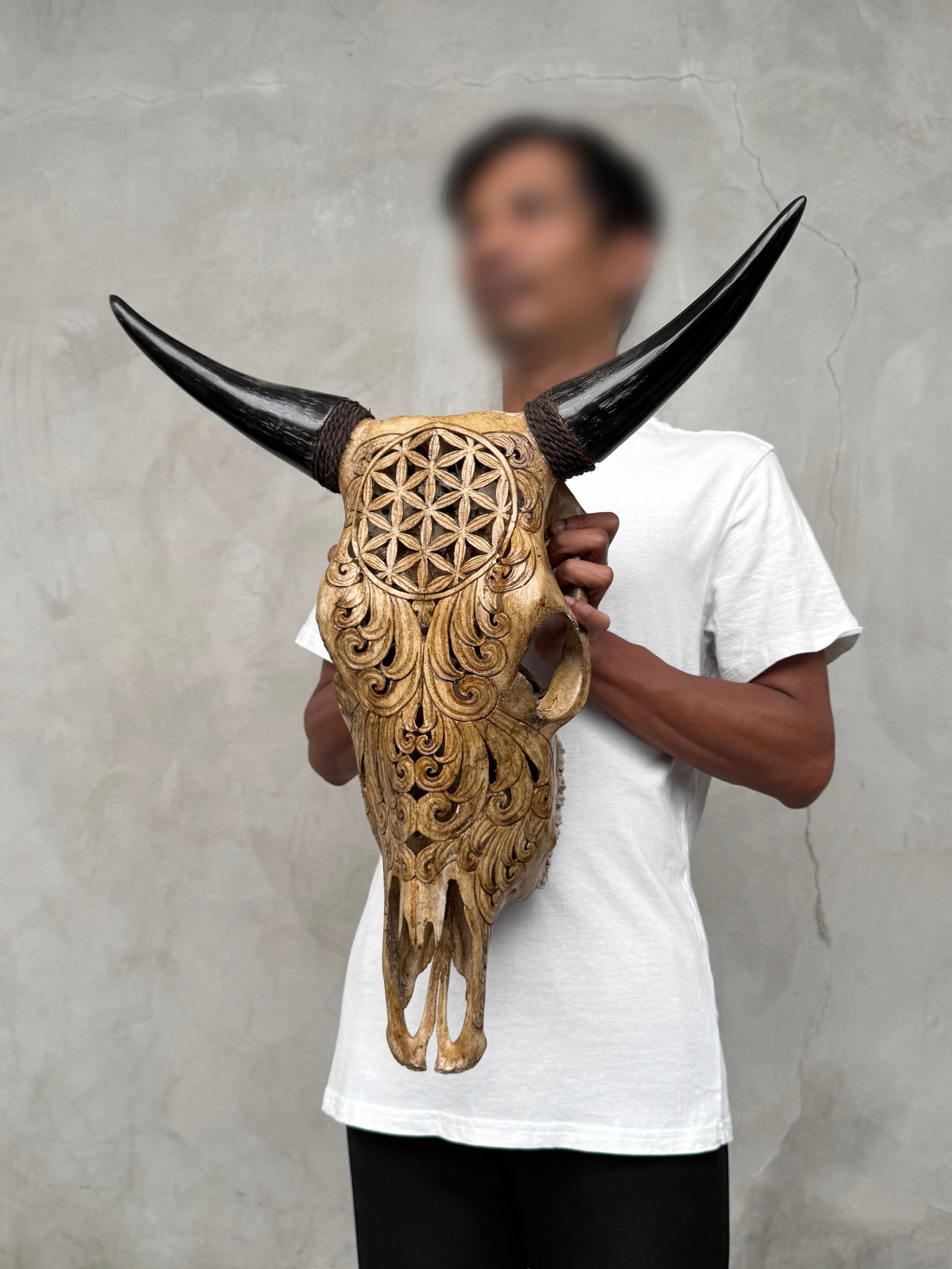 Brown bull's kull - Flower of life motif - 2