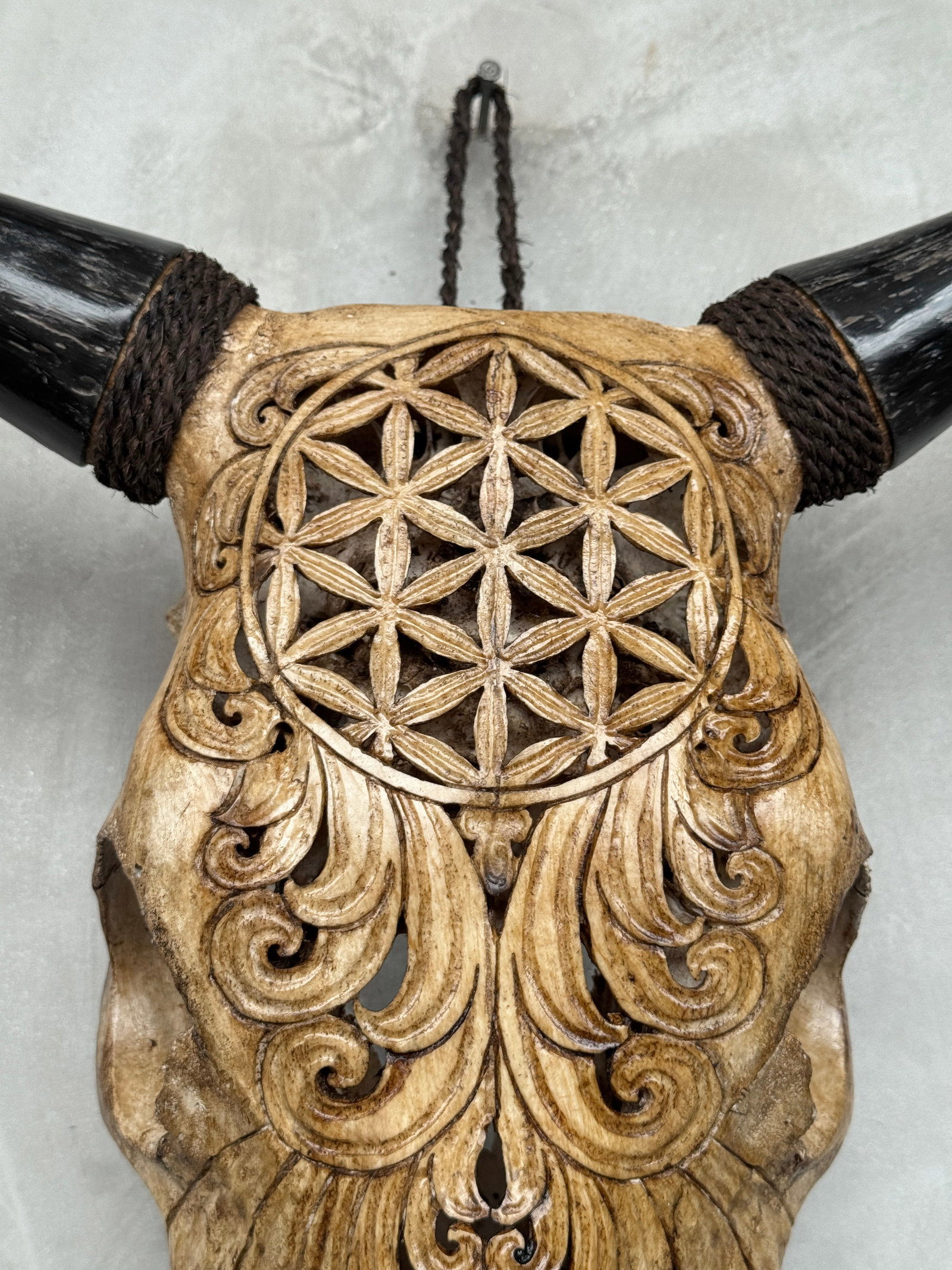 Brown bull's kull - Flower of life motif - 3