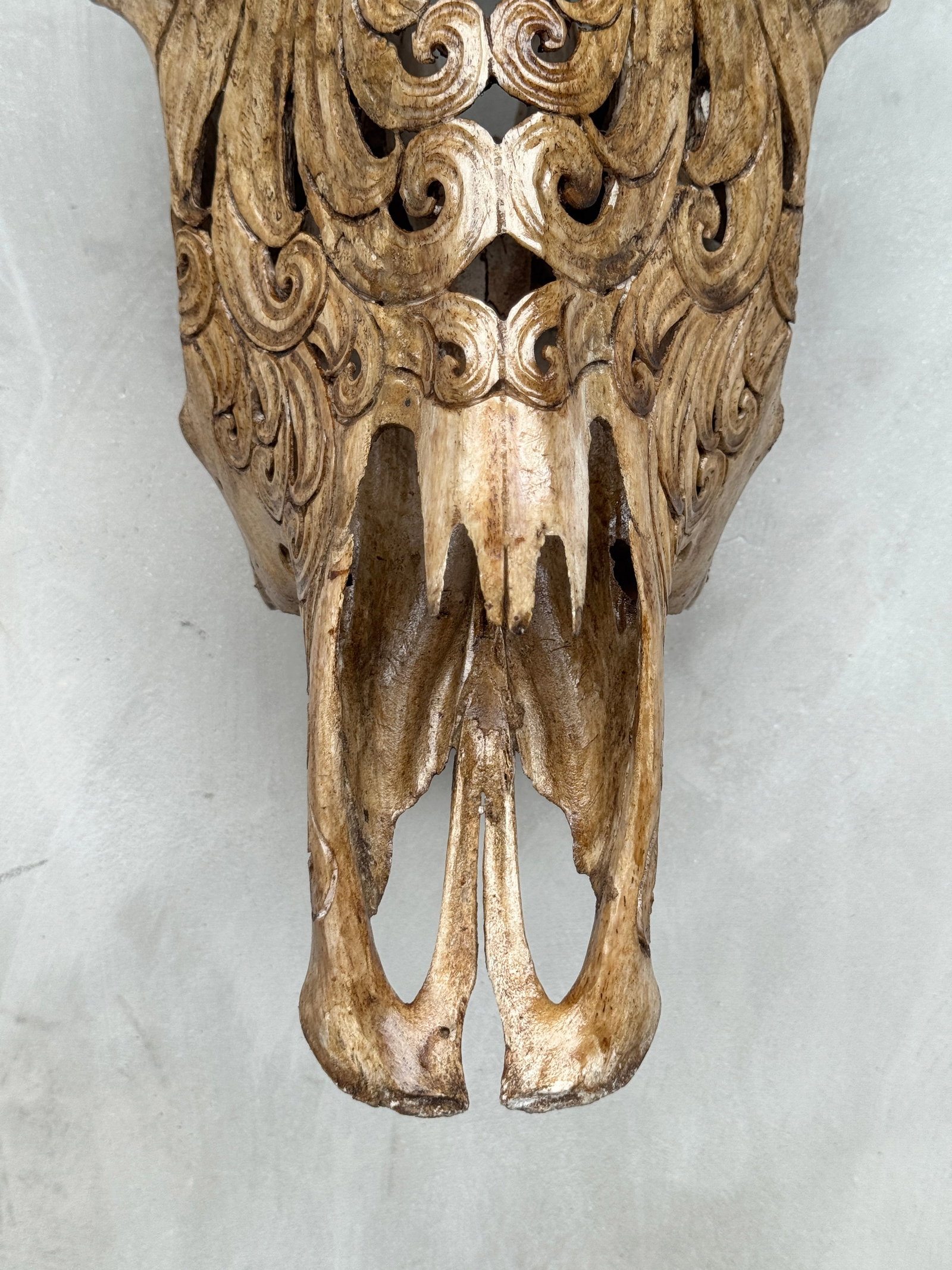 Brown bull's kull - Flower of life motif - 4