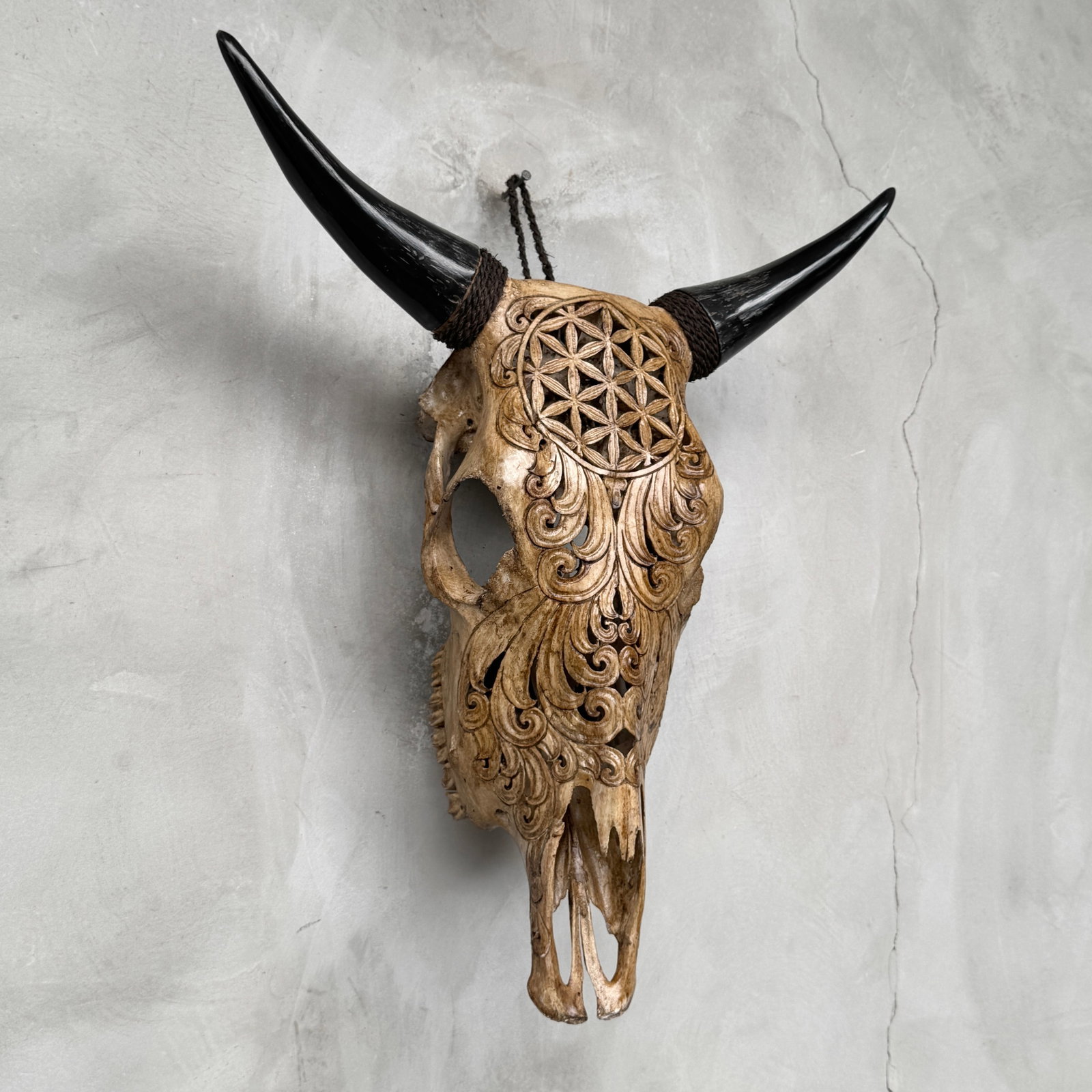 Brown bull's kull - Flower of life motif - 5