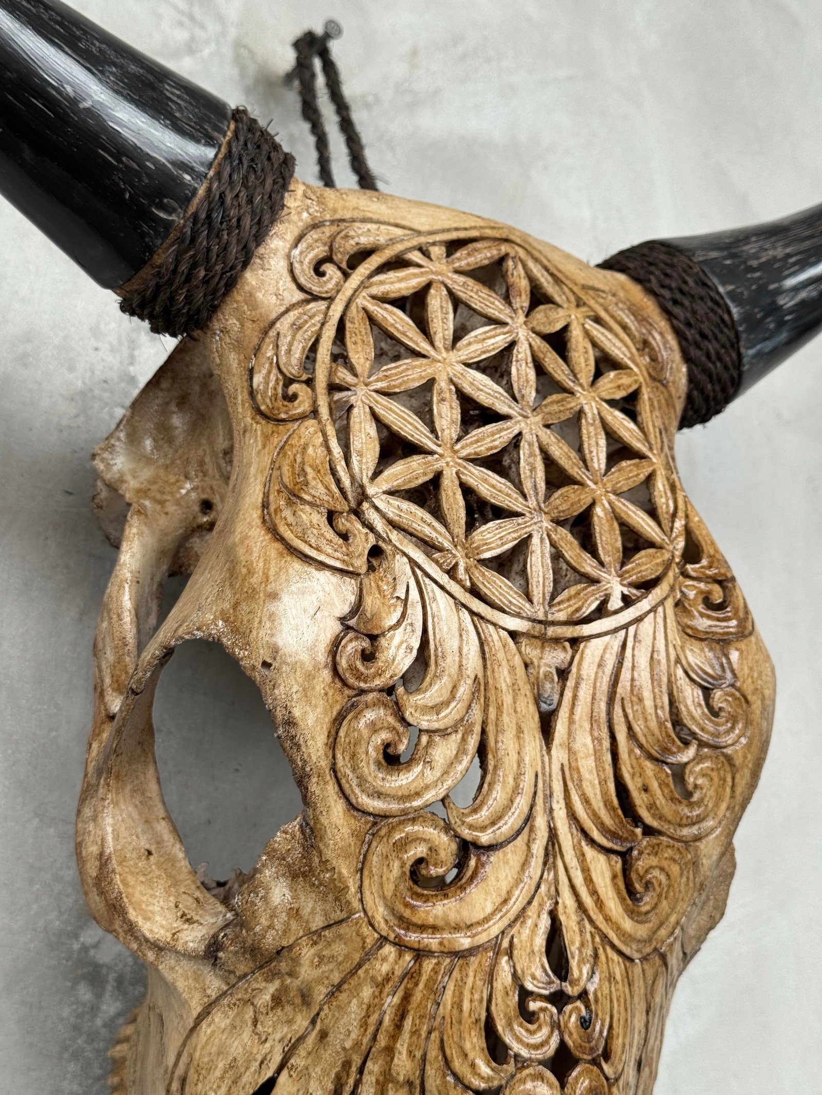 Brown bull's kull - Flower of life motif - 6