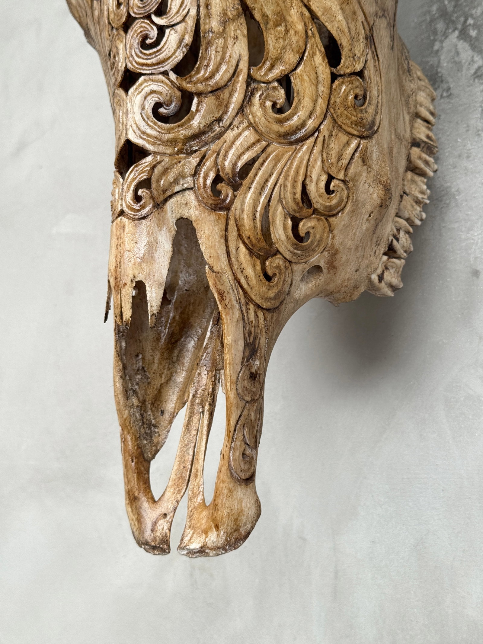 Brown bull's kull - Flower of life motif - 8