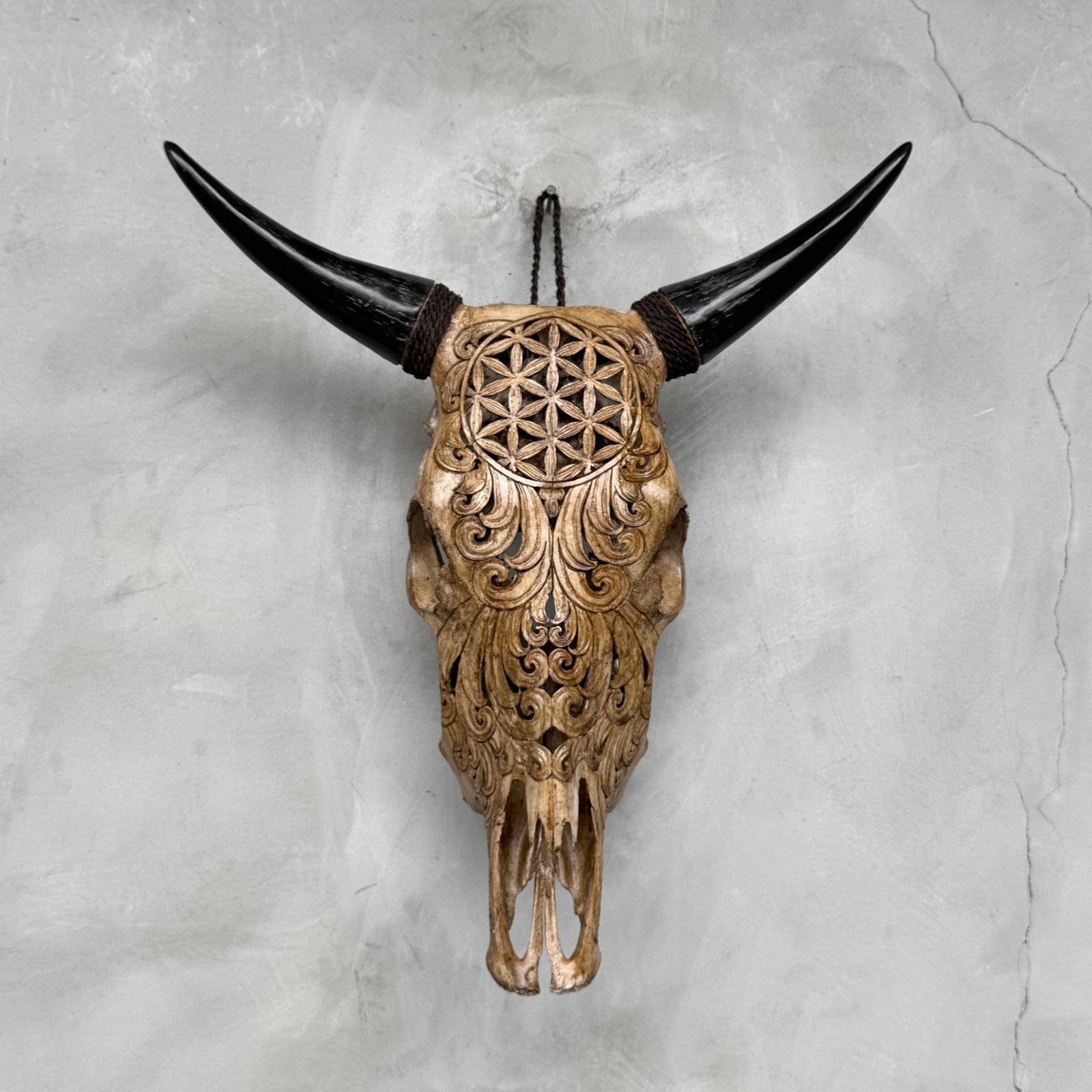 Brown bull's kull - Flower of life motif - 9