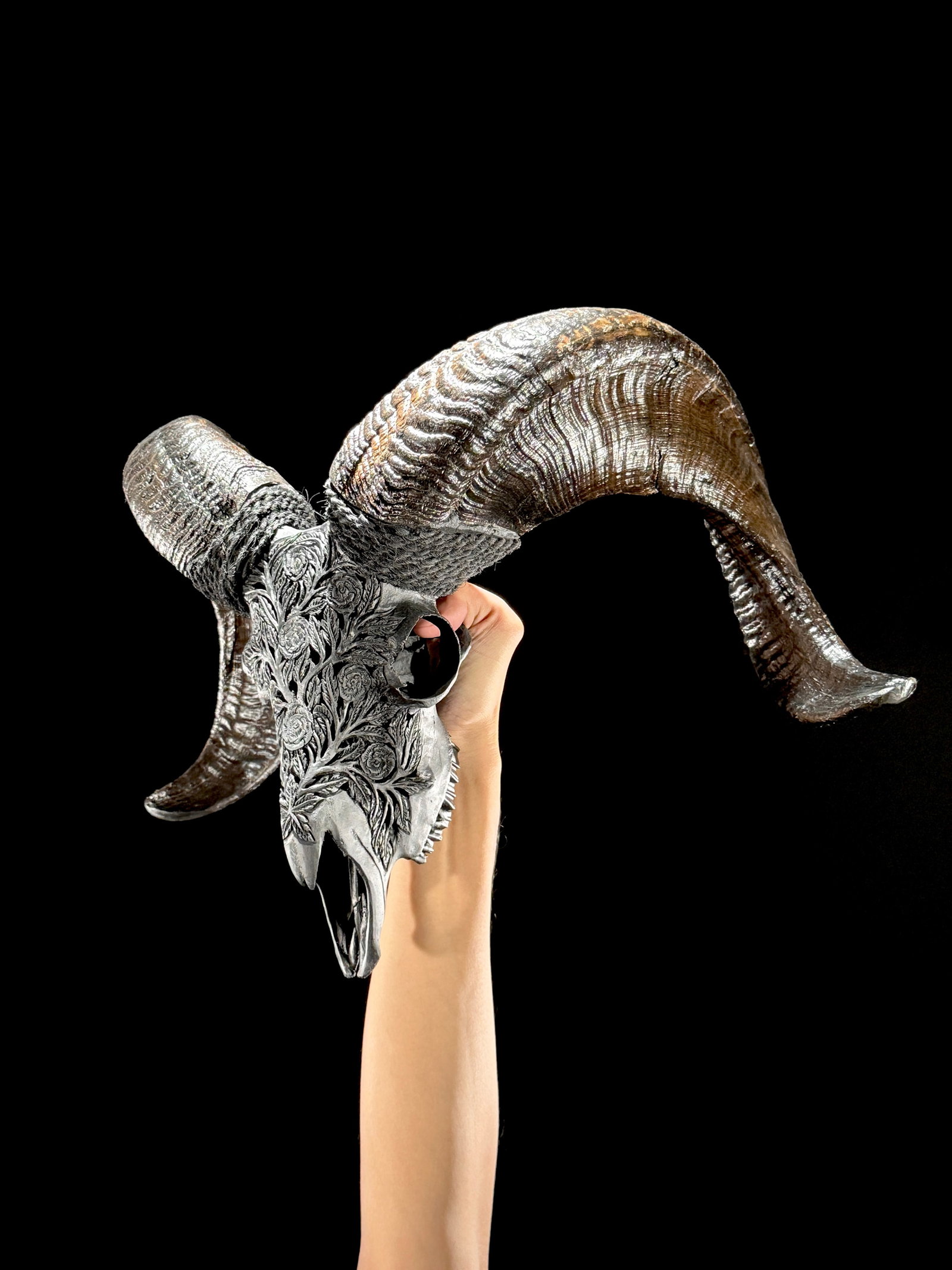 Carved black ram skull - Roses motif (1 of 10)
