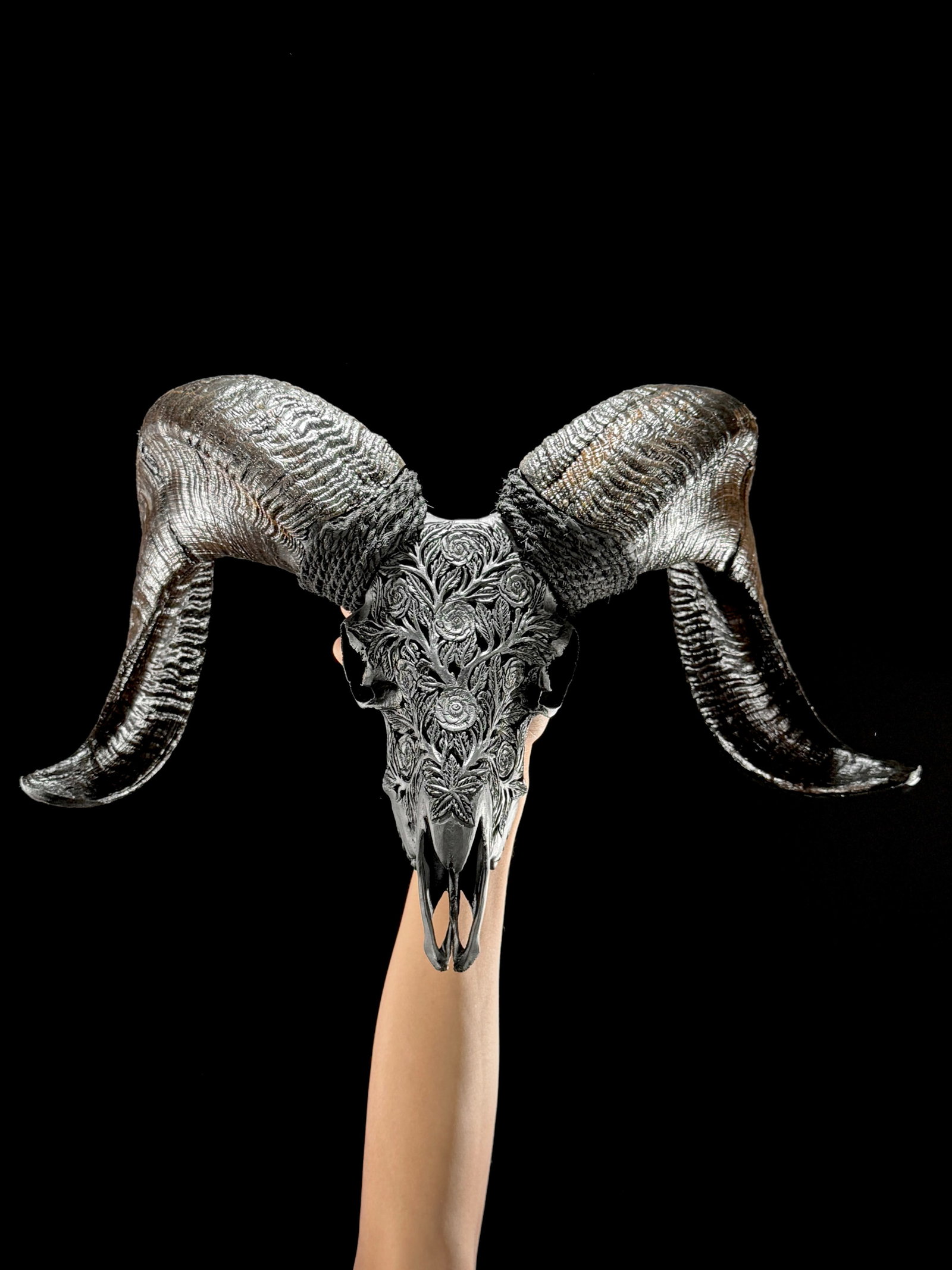 Carved black ram skull - Roses motif - 2