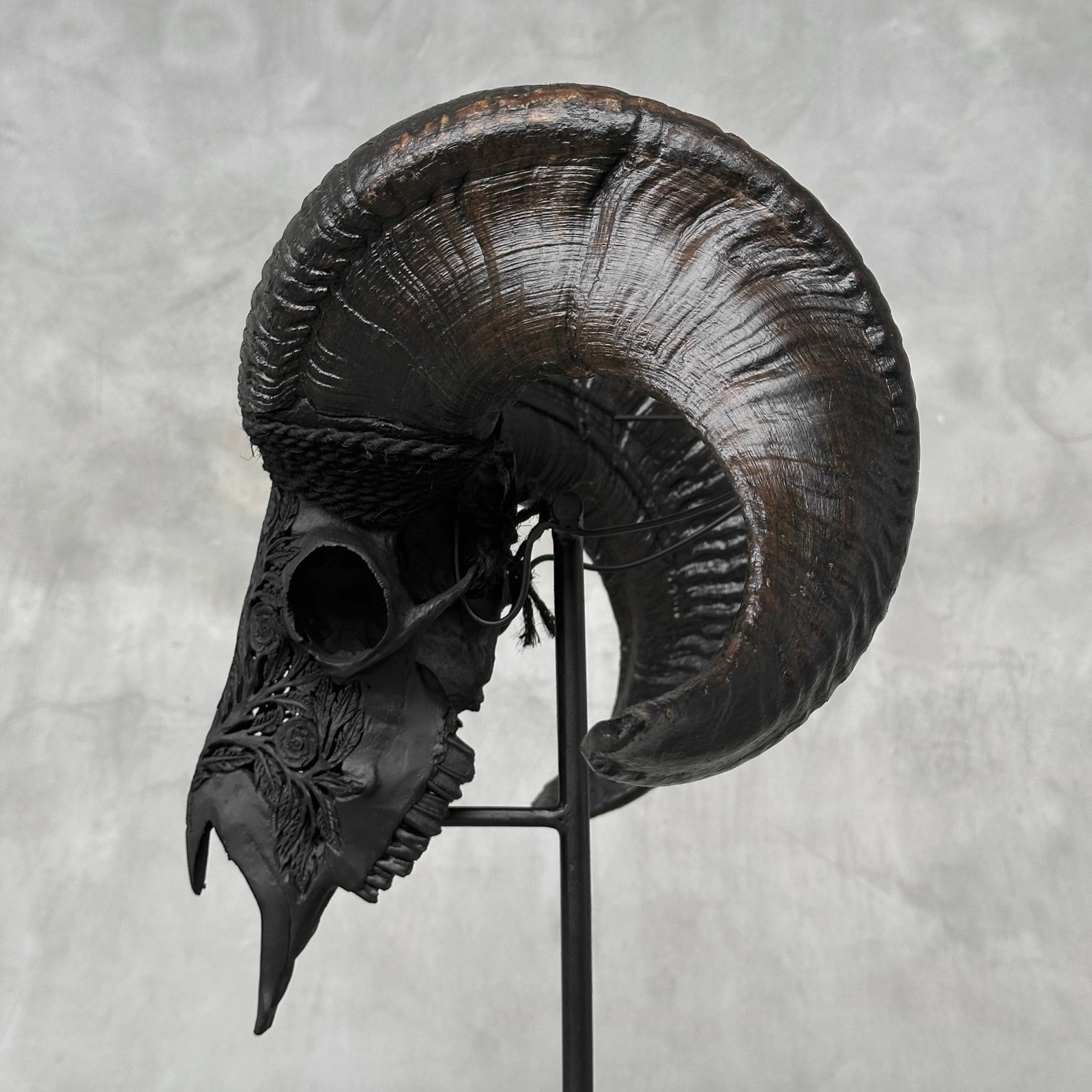 Carved black ram skull - Roses motif - 6