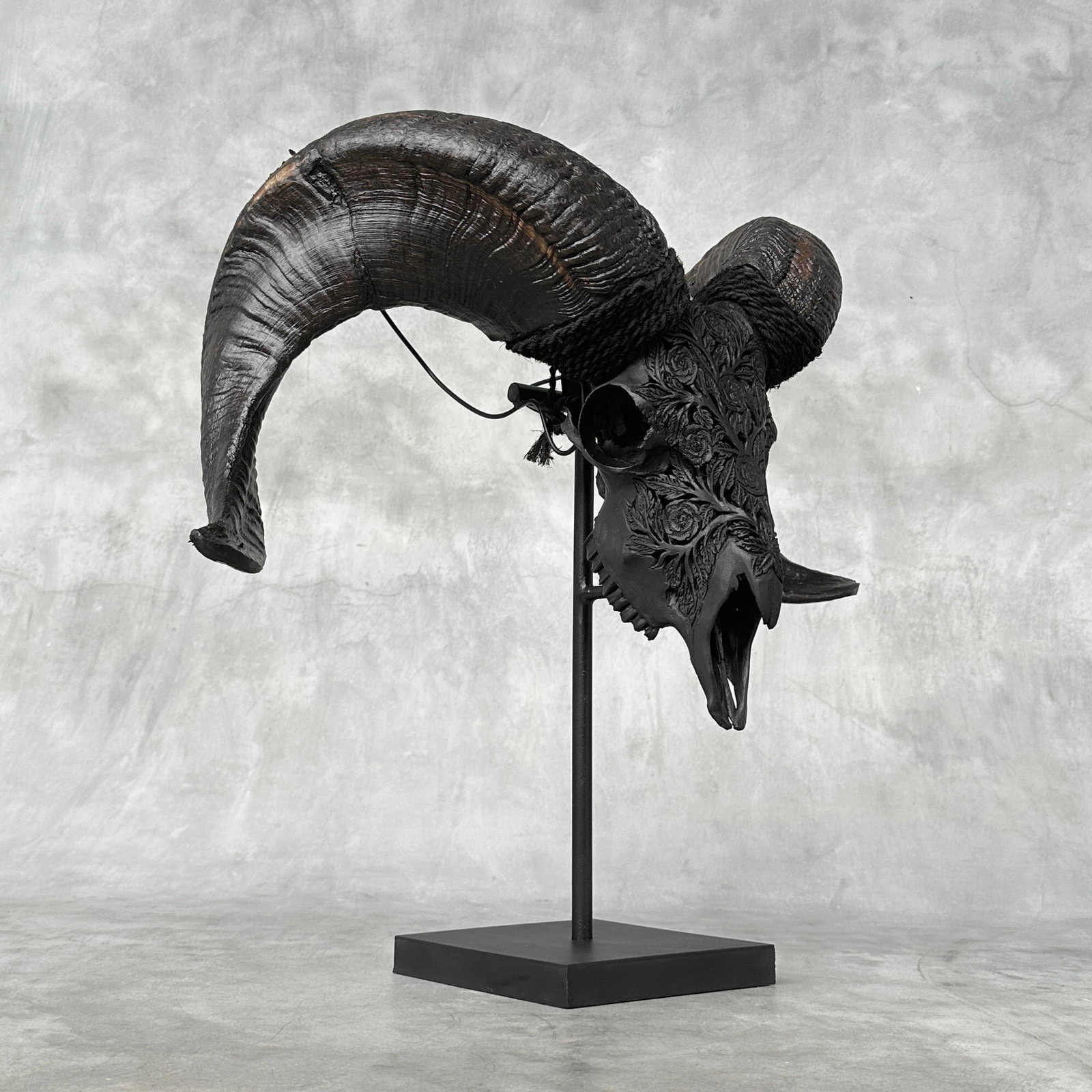 Carved black ram skull - Roses motif - 9