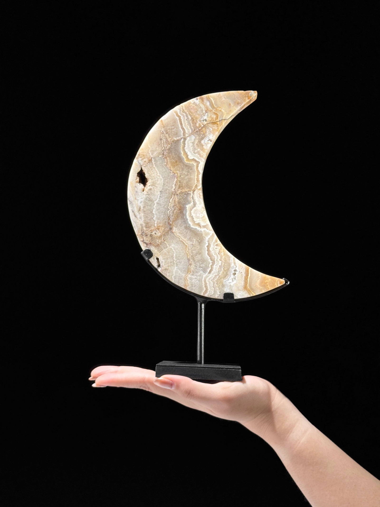 A beautiful crystalized lace agate moon on a custom stand: Title: Stunning Human Skull With A Carved Snake Maker:Unknown Origin: Indonesia Date/Period:2026 Materials:Tamarind Wood, Deer antler Dimensions:Height including stand: 20 cm / 7.8 inches, Width: 10 c