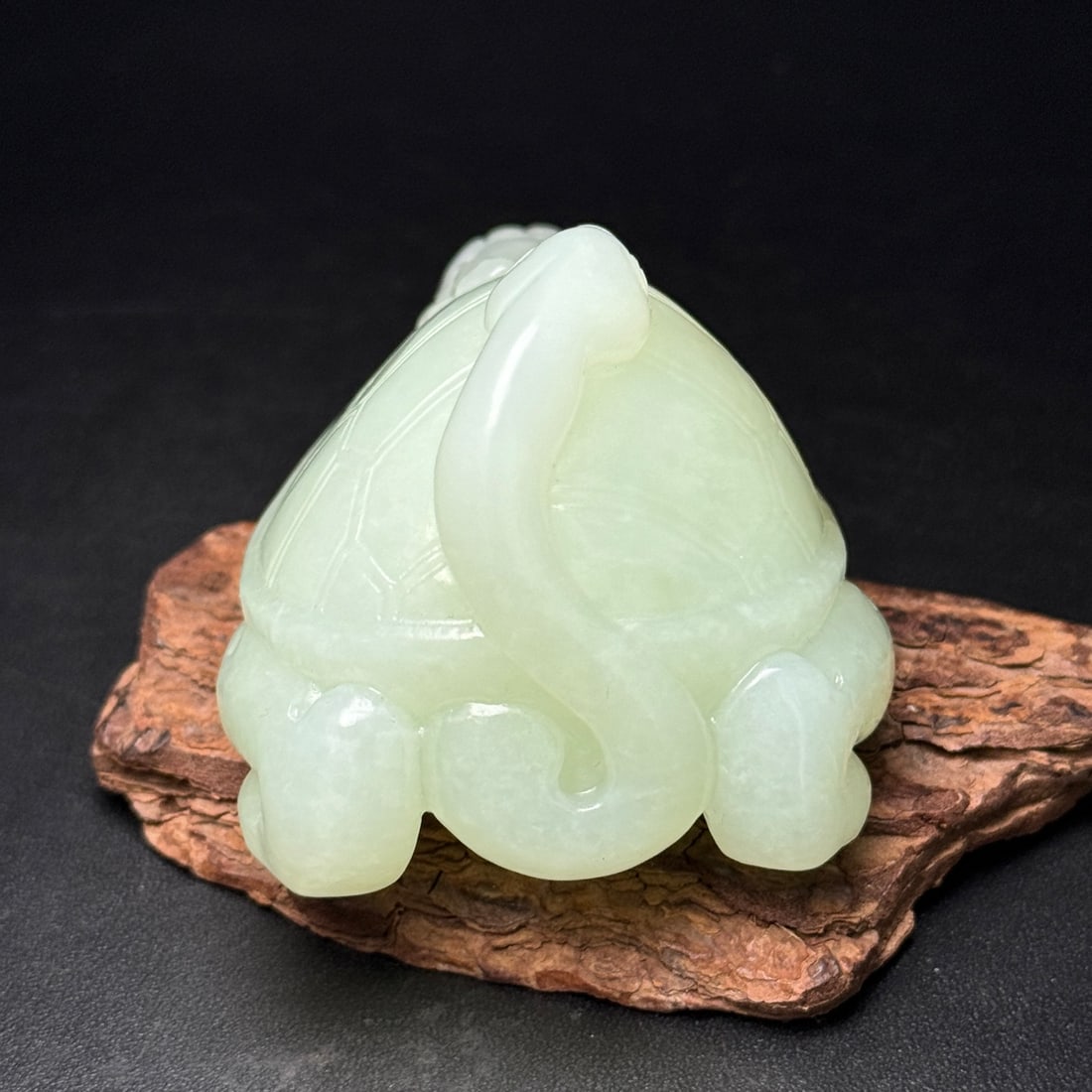 Hetian Jade Hand Carved Dragon Turtle Statue - 5