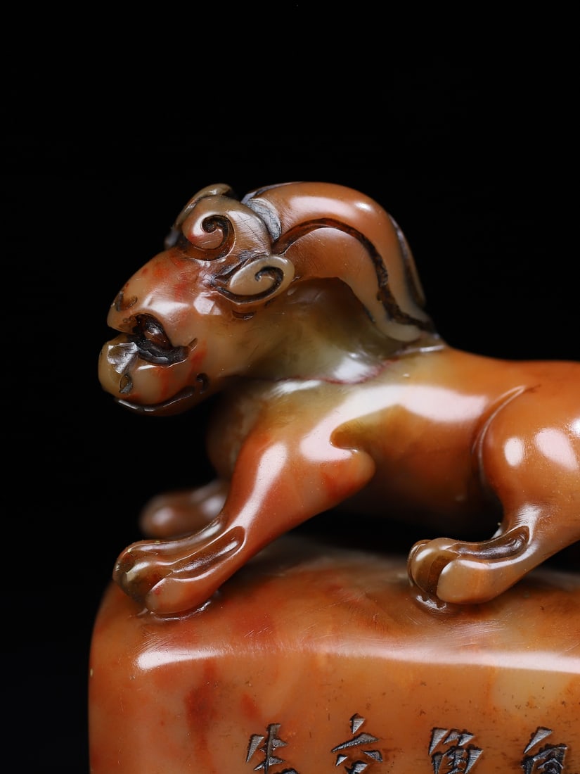 Shoushan Soapstone Hand-Carved Seal/Stamp Fortune Beast - 5
