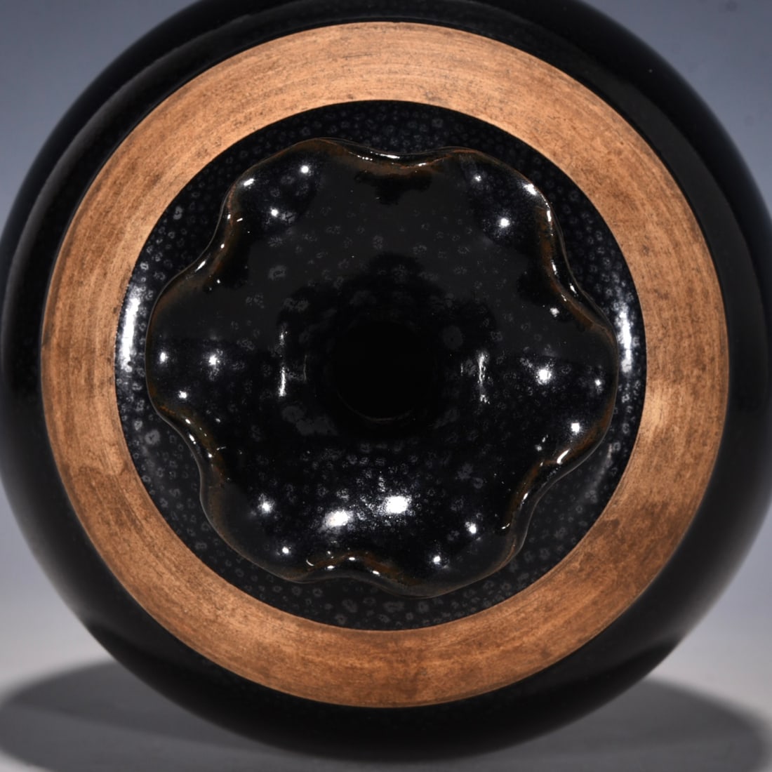 Jian Kiln Porcelain Pomegranate Vase - 6