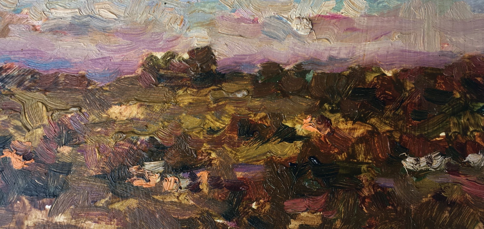 Oil painting Evening Sergey Ivanovich: Title: Oil painting Evening Sergey Ivanovich Description: 89ALAA Painter: Sergey Ivanovich Animov Size: 22.5x11.5 cm/8.86x4.53 inches Components: cardboard, oil Original painting from our collection E