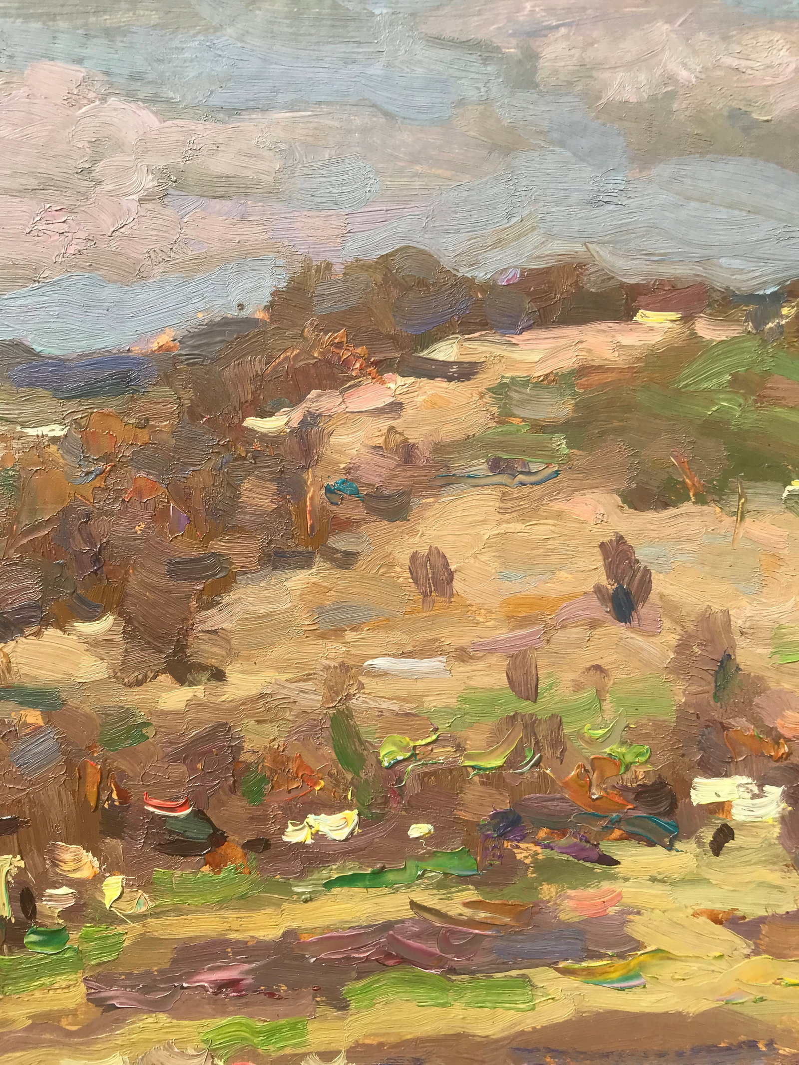 Oil painting Homeland Sergey Ivanovich Animov - 8
