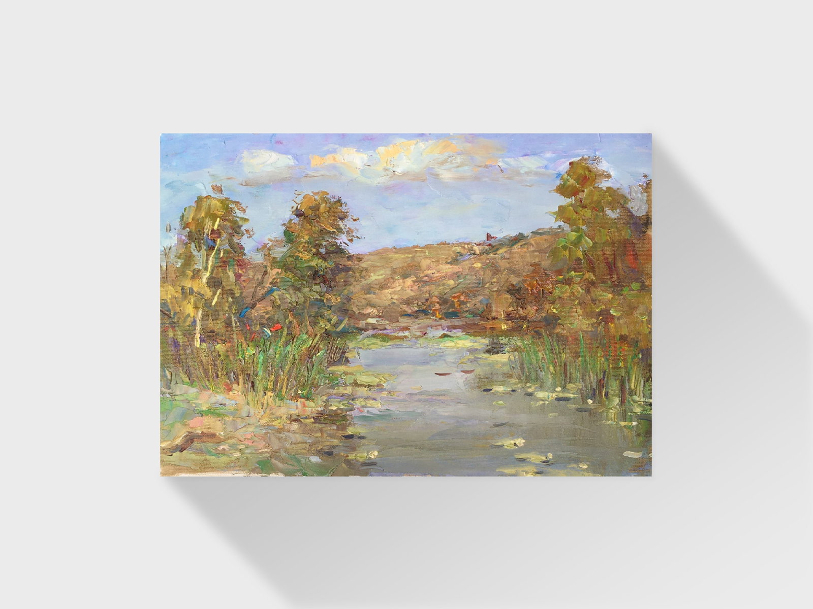 Oil painting On the pond Sergey Ivanovich Animov - 11