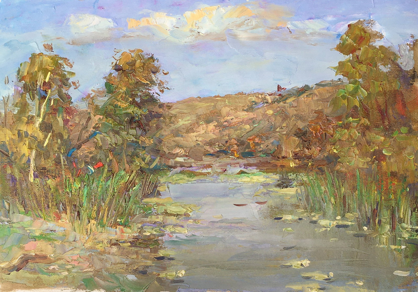 Oil painting On the pond Sergey Ivanovich Animov: Title: Oil painting On the pond Sergey Ivanovich Animov Description: 236ALAA Painter: Sergey Ivanovich Animov Size: 27x37 cm/10,63x14,56 inches Components: canvas, oil Original painting from our colle