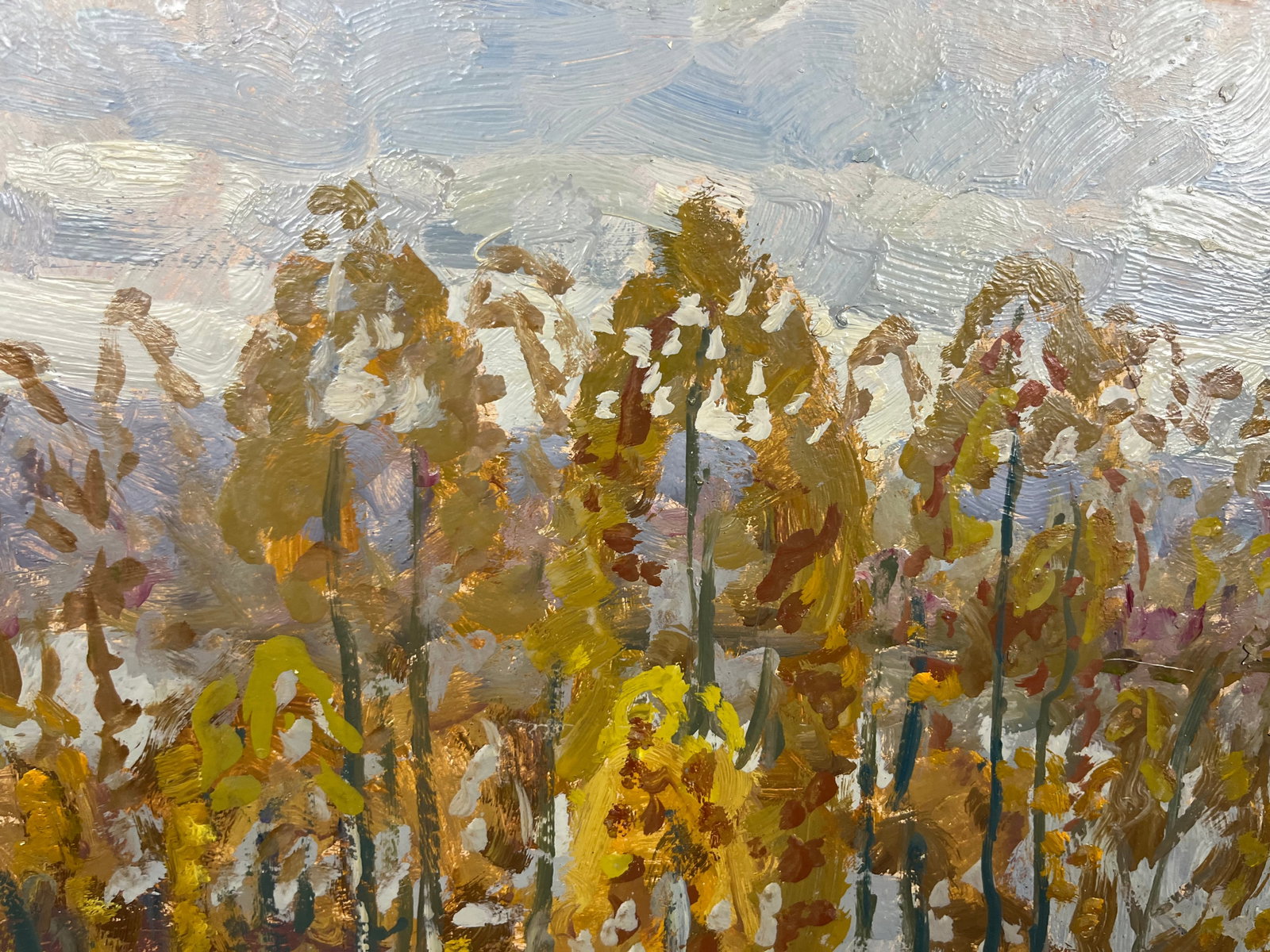 Oil painting Kolochak River Kolosovsky G. - 2