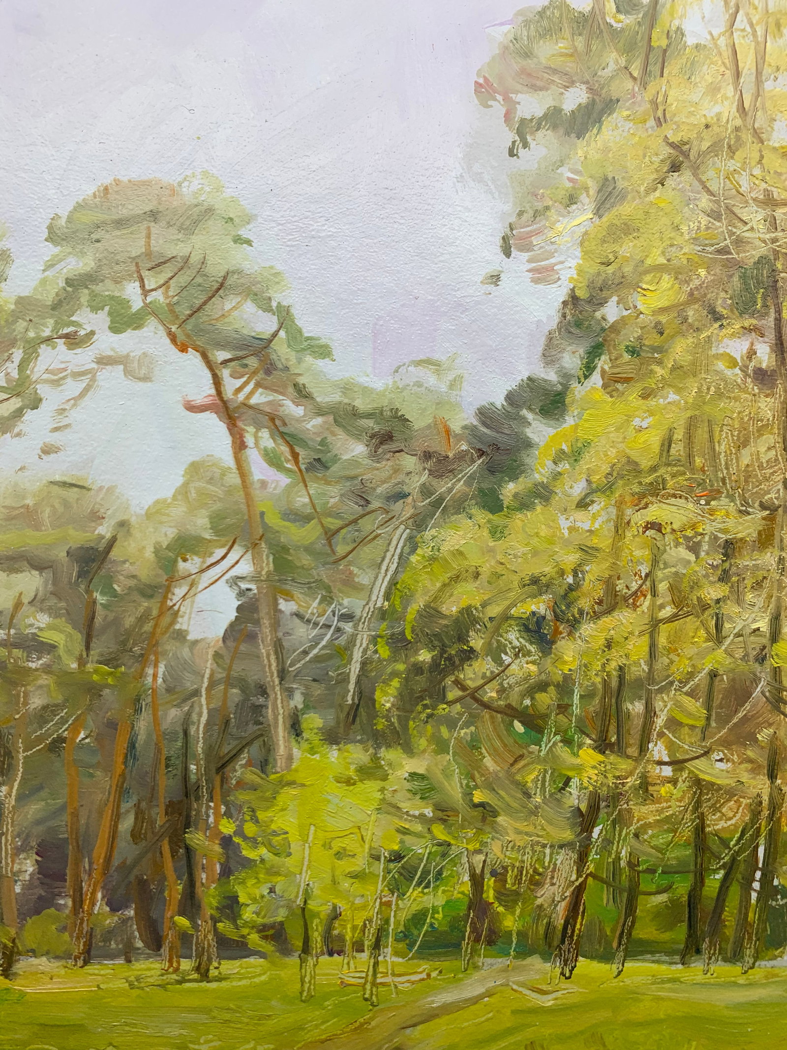 Oil painting For mushrooms Oleksandr Oleksandrovich Nazarenko - 4