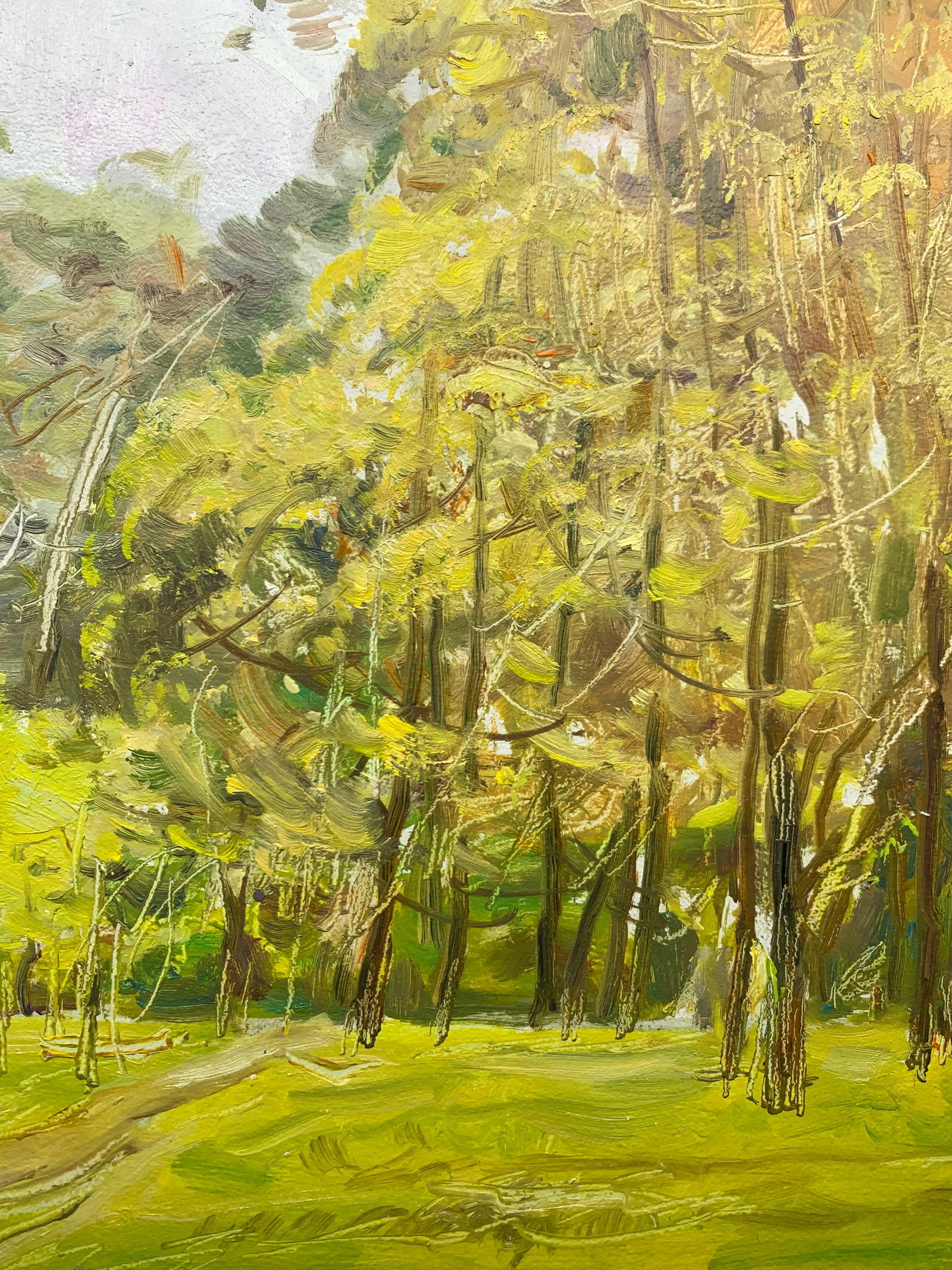 Oil painting For mushrooms Oleksandr Oleksandrovich Nazarenko - 9