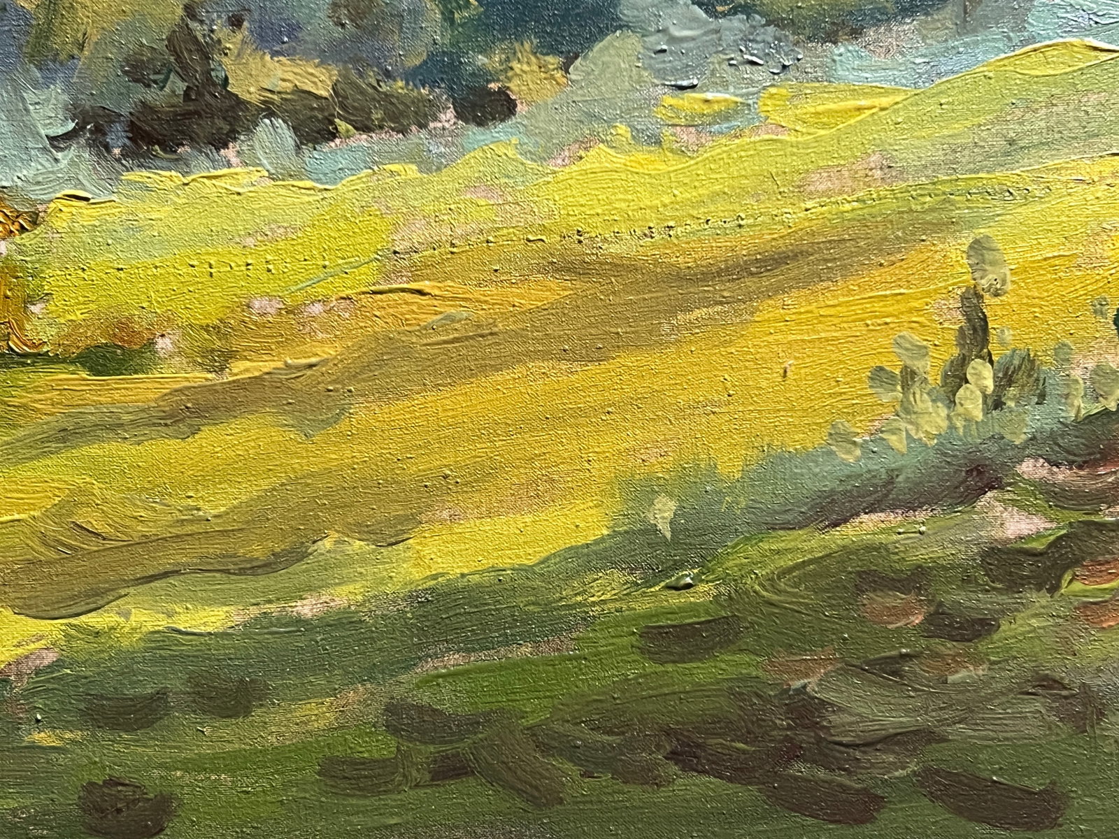 Oil painting with farme Morning K. Leonid - 10