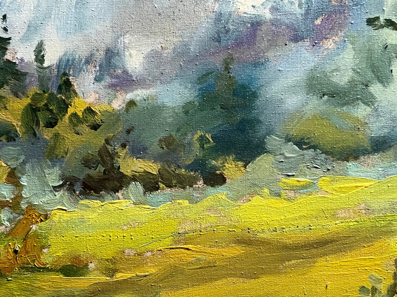 Oil painting with farme Morning K. Leonid - 6