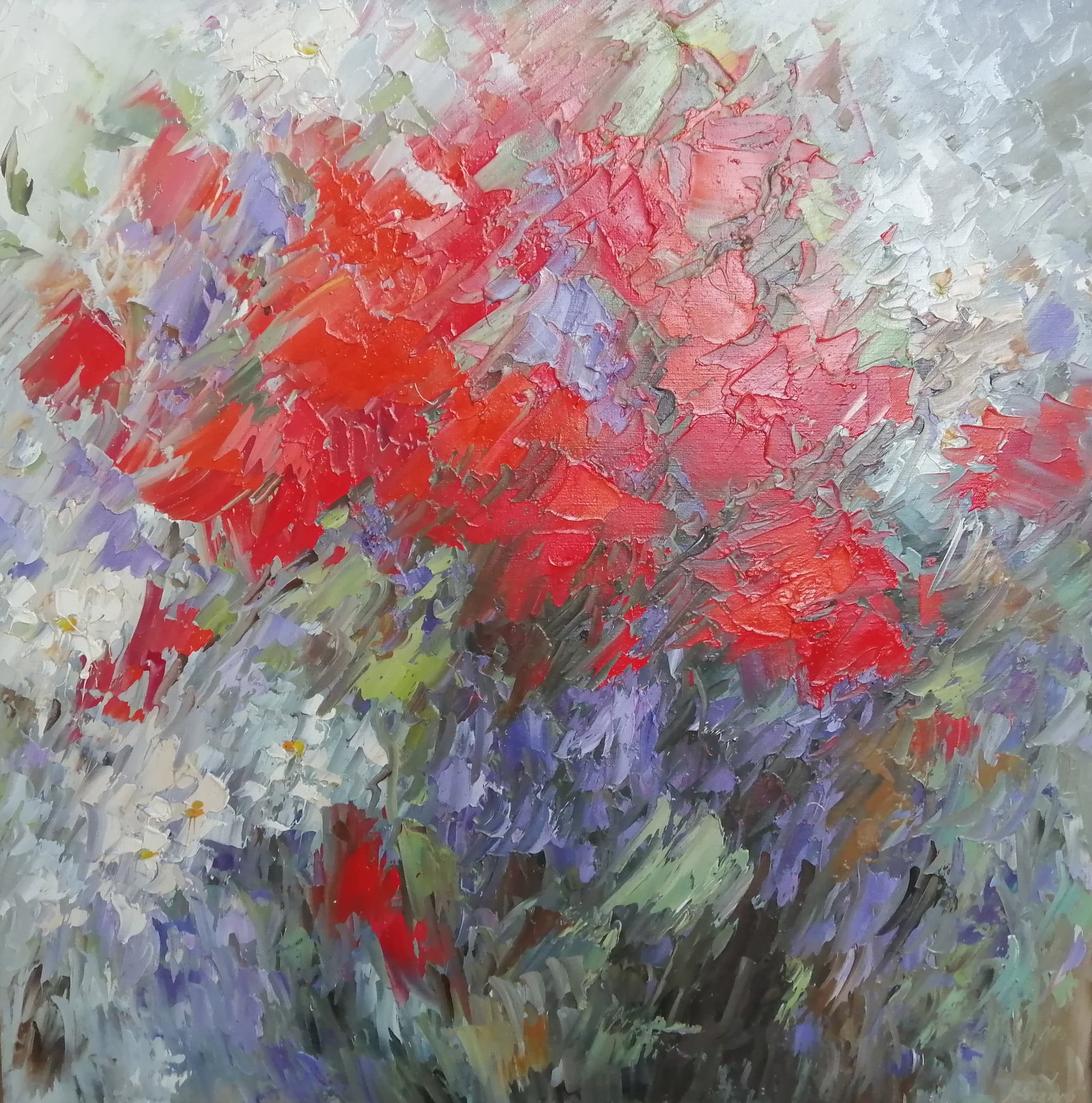 Oil painting Poppies Vadim Os'onov - 2