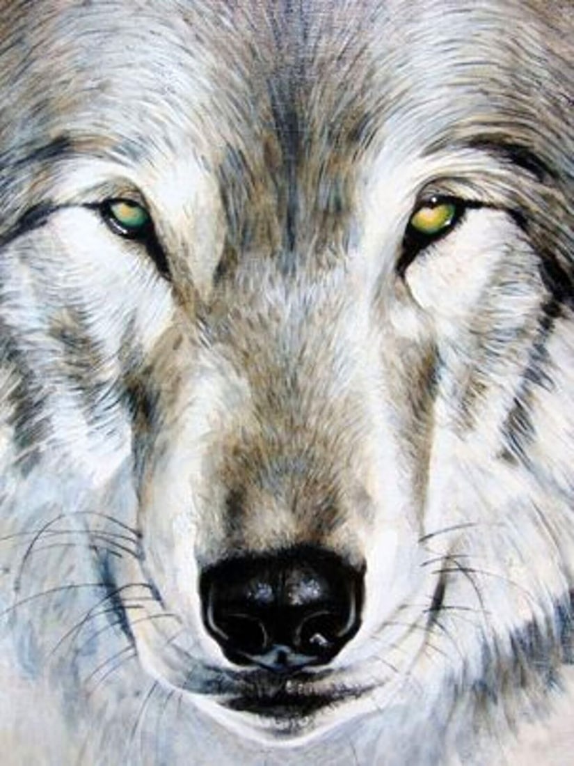 Oil painting The look of the wolf Goncharenko S. - 6