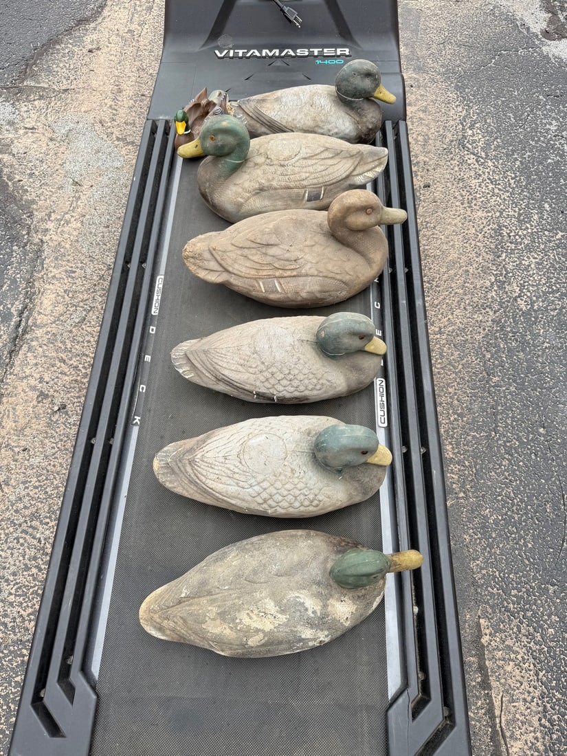 Assorted Life-Like Mallard Duck Decoys, Seven (7) each - 2