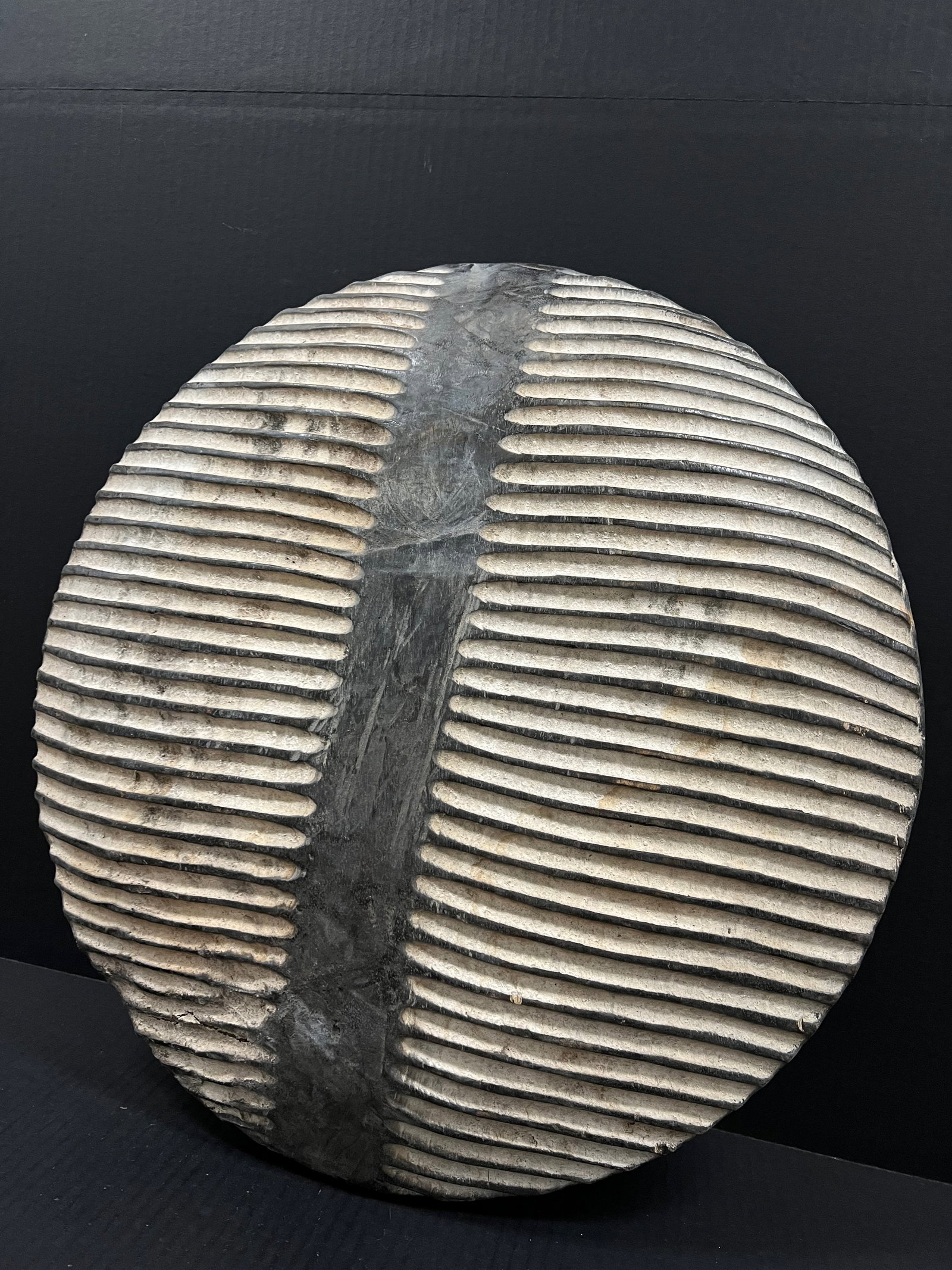 African Tribal Art Carved Wood Zulu Shield - 3