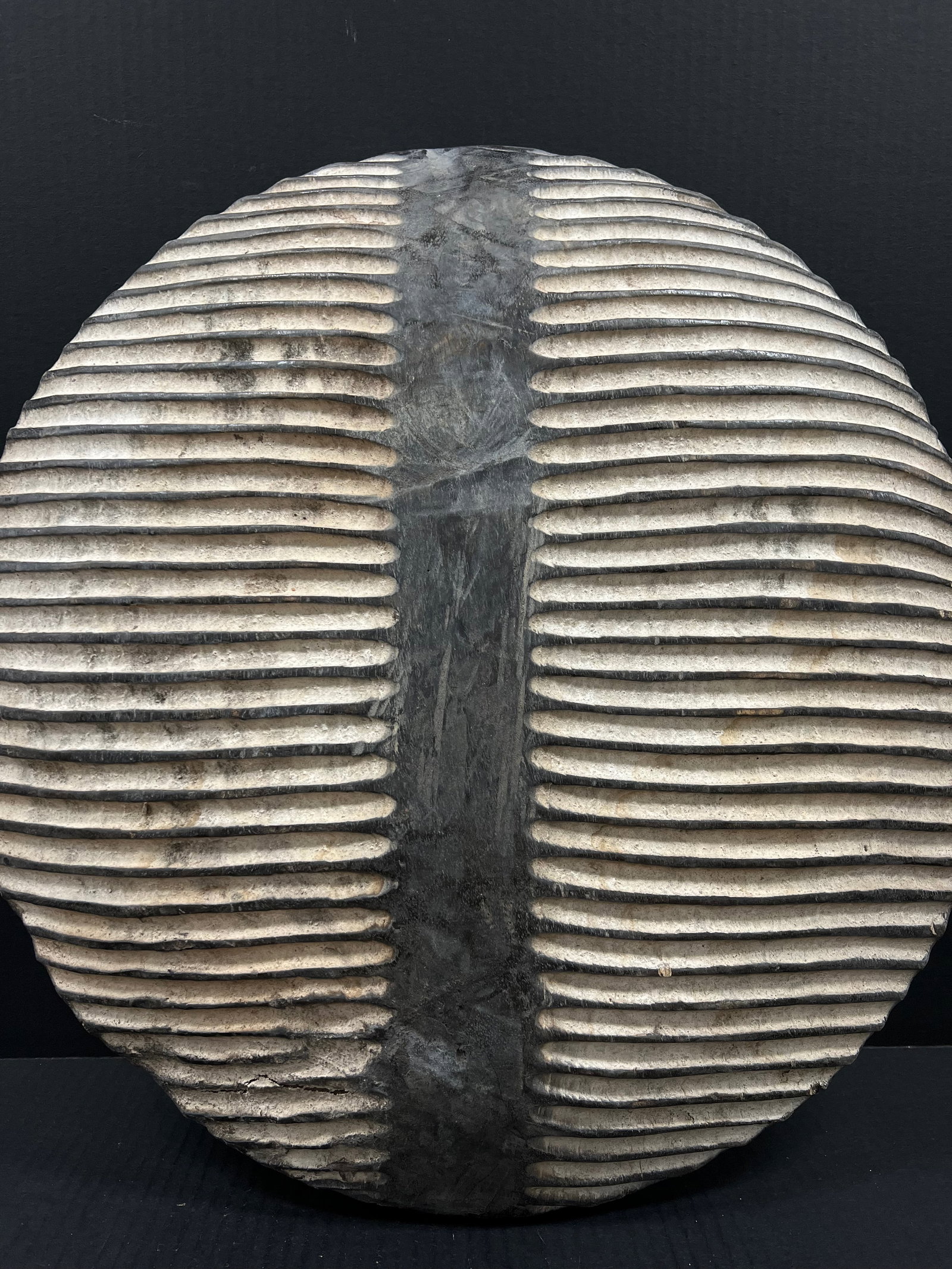 African Tribal Art Carved Wood Zulu Shield - 4