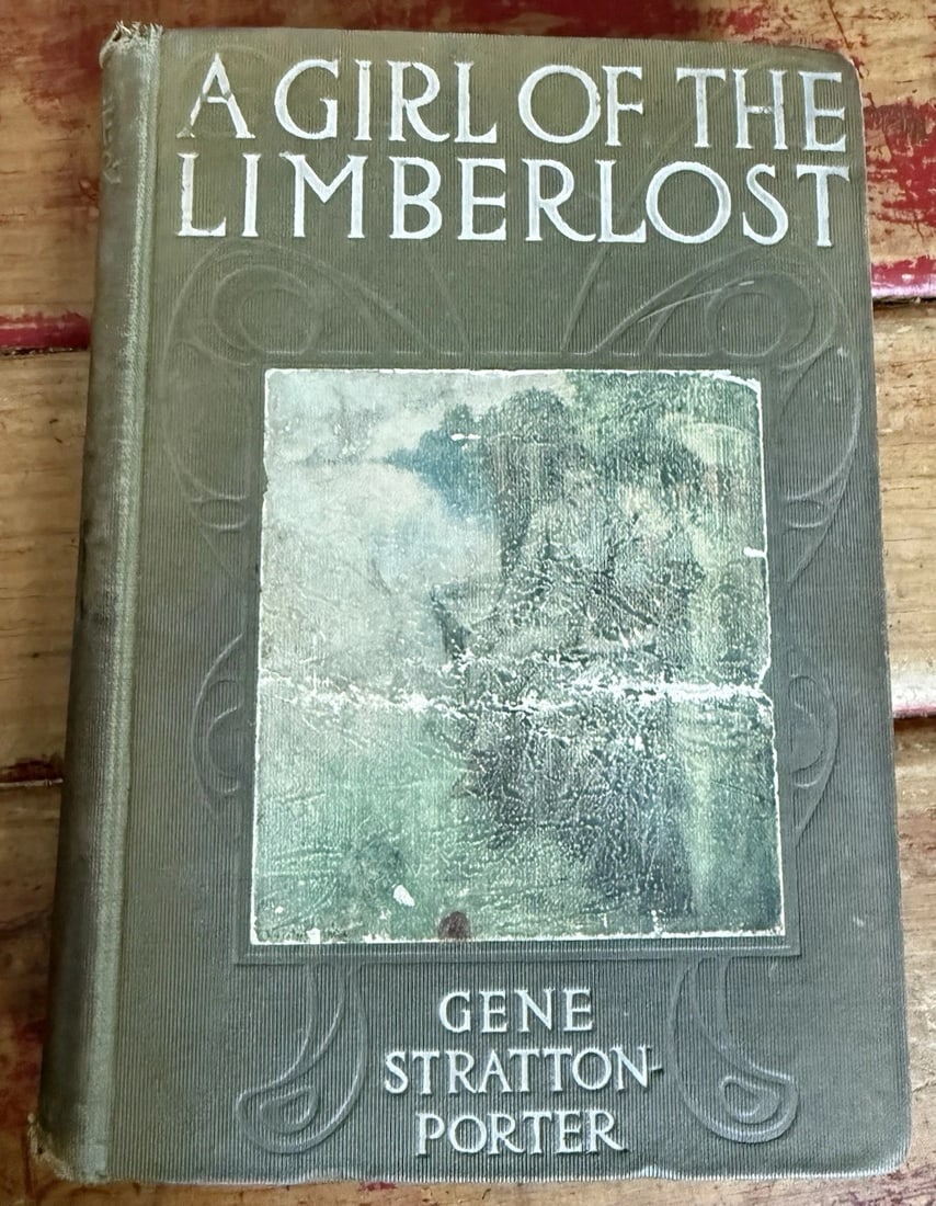 A Girl Of The Limberlost Gene Stratton Porter 1909 HC 1st Ed Hardcover Illustrat (1 of 19)