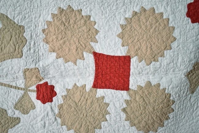 Well Quilted 1870's Floral Medallion Quilt - 5