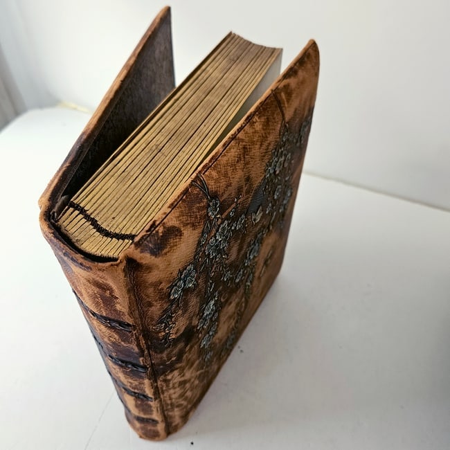 Vintage Leather-bound Empty Photo Album with Floral Cover Circa 1880s to the 1890s. - 2