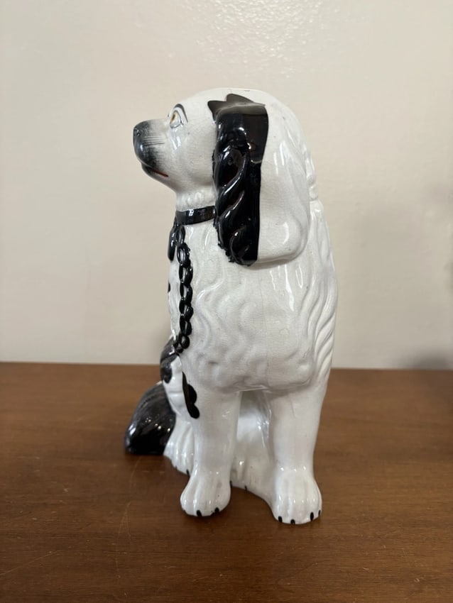 Pr Black & White Staffordshire Spaniel Dogs - 3