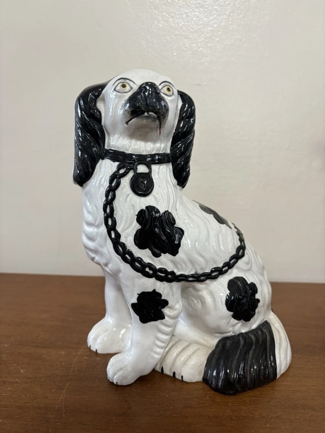Pr Black & White Staffordshire Spaniel Dogs - 9