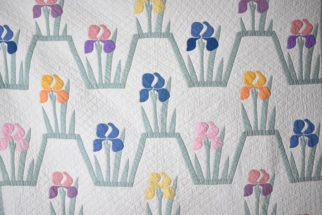 30's Iris Applique Quilt - 2