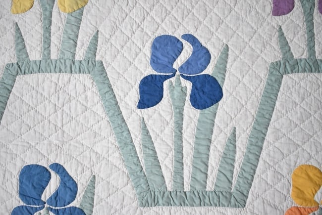 30's Iris Applique Quilt - 5