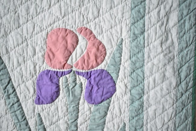 30's Iris Applique Quilt - 6