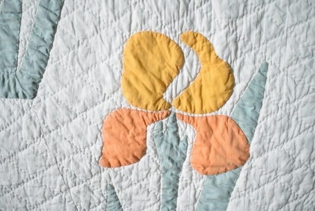 30's Iris Applique Quilt - 7