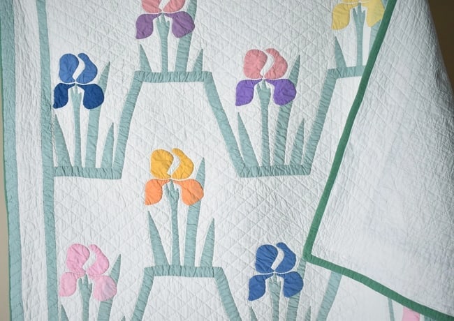 30's Iris Applique Quilt - 9