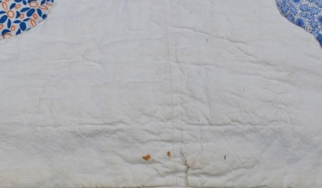 Signed Ina Kimble 1935 Reel Center Dresden Plate Quilt 64" x 78" Folk Art Textile - 4