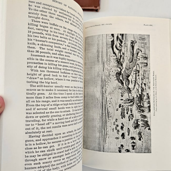 The American Bison Books About the Once Mighty Buffalo - 16