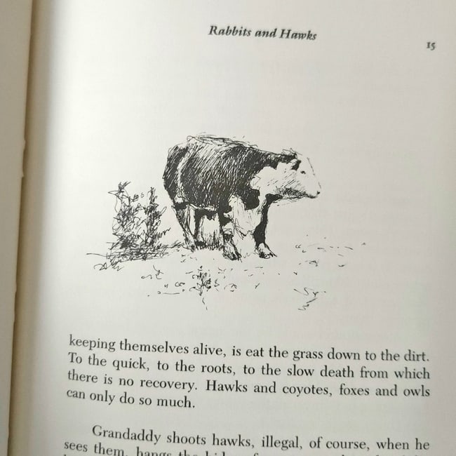 The Deer Pasture by Rick Bass Drawings by Elizabeth Hughes 1st Ed 1985 HC DJ - 8
