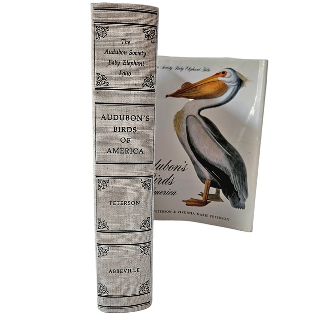 Audubon's Birds of America: Baby Elephant Folio 1981 1st Ed HC DJ - 3