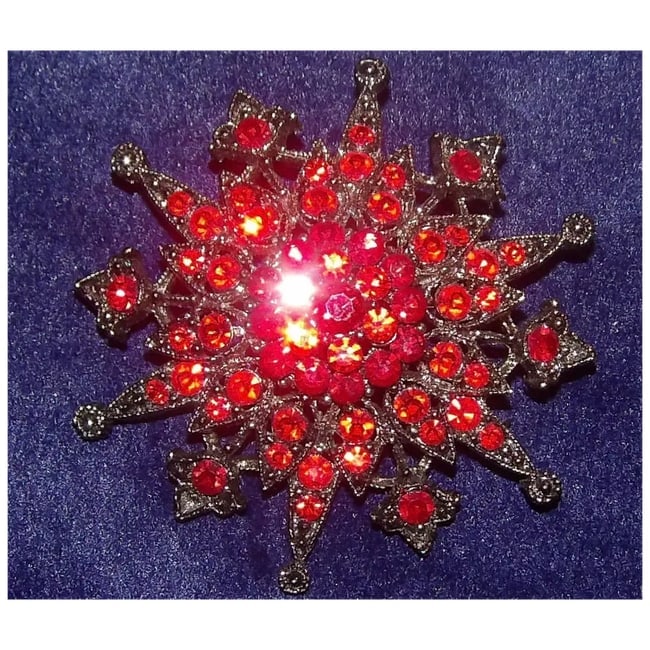 Red Crystal with Black Setting Borach - 5