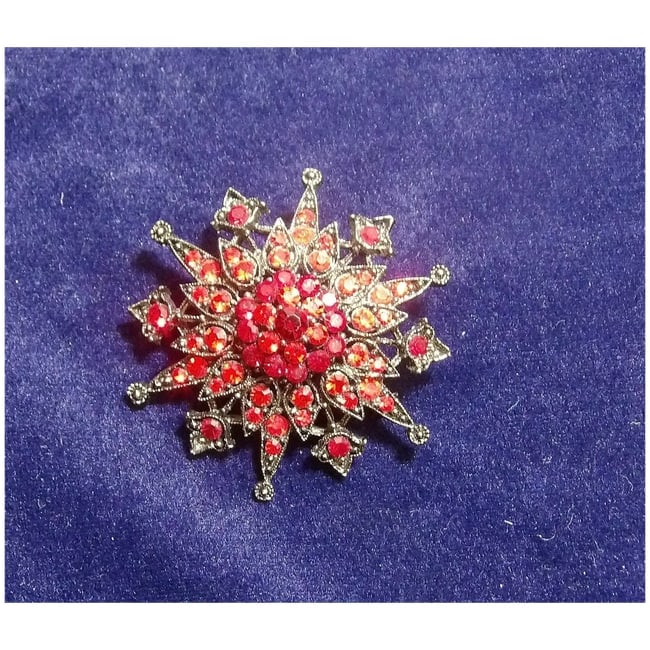 Red Crystal with Black Setting Borach - 6