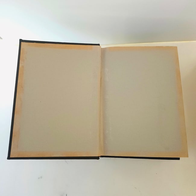 1922 1st Edition "The New Encyclopedia of Texas" Texas Historical Society Two volume set - 4